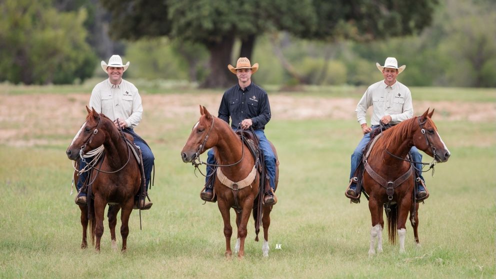 Welcome to 817 Horse Sales!