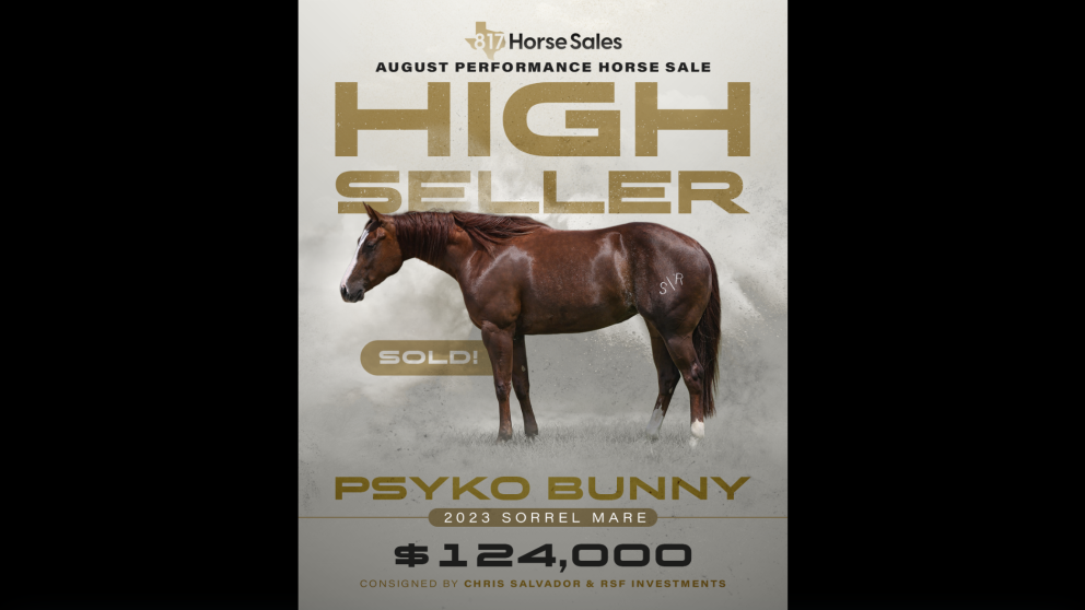Welcome to 817 Horse Sales!