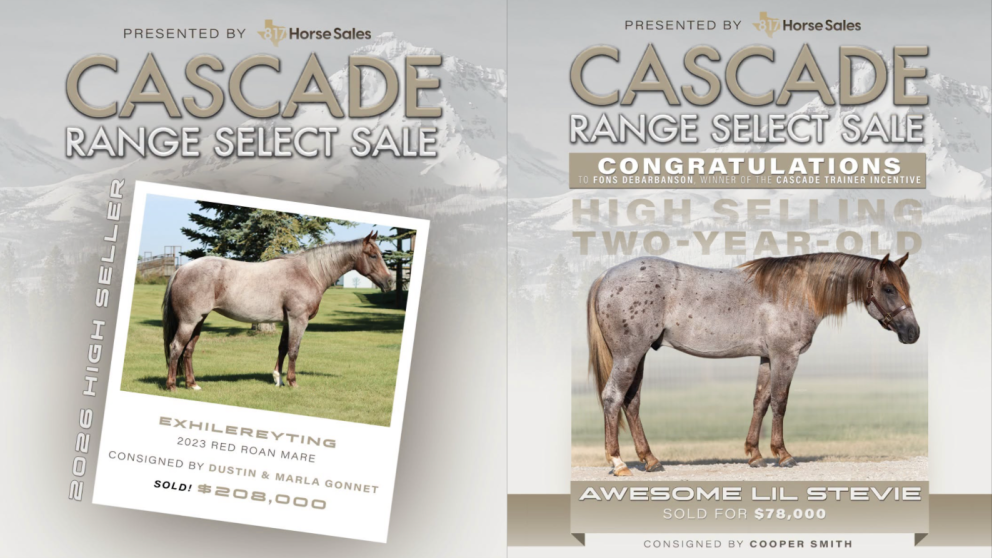 Welcome to 817 Horse Sales!