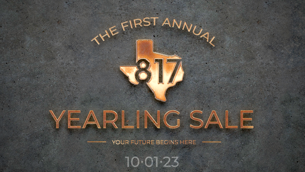 The First Annual 817HorseSales Yearling Sale