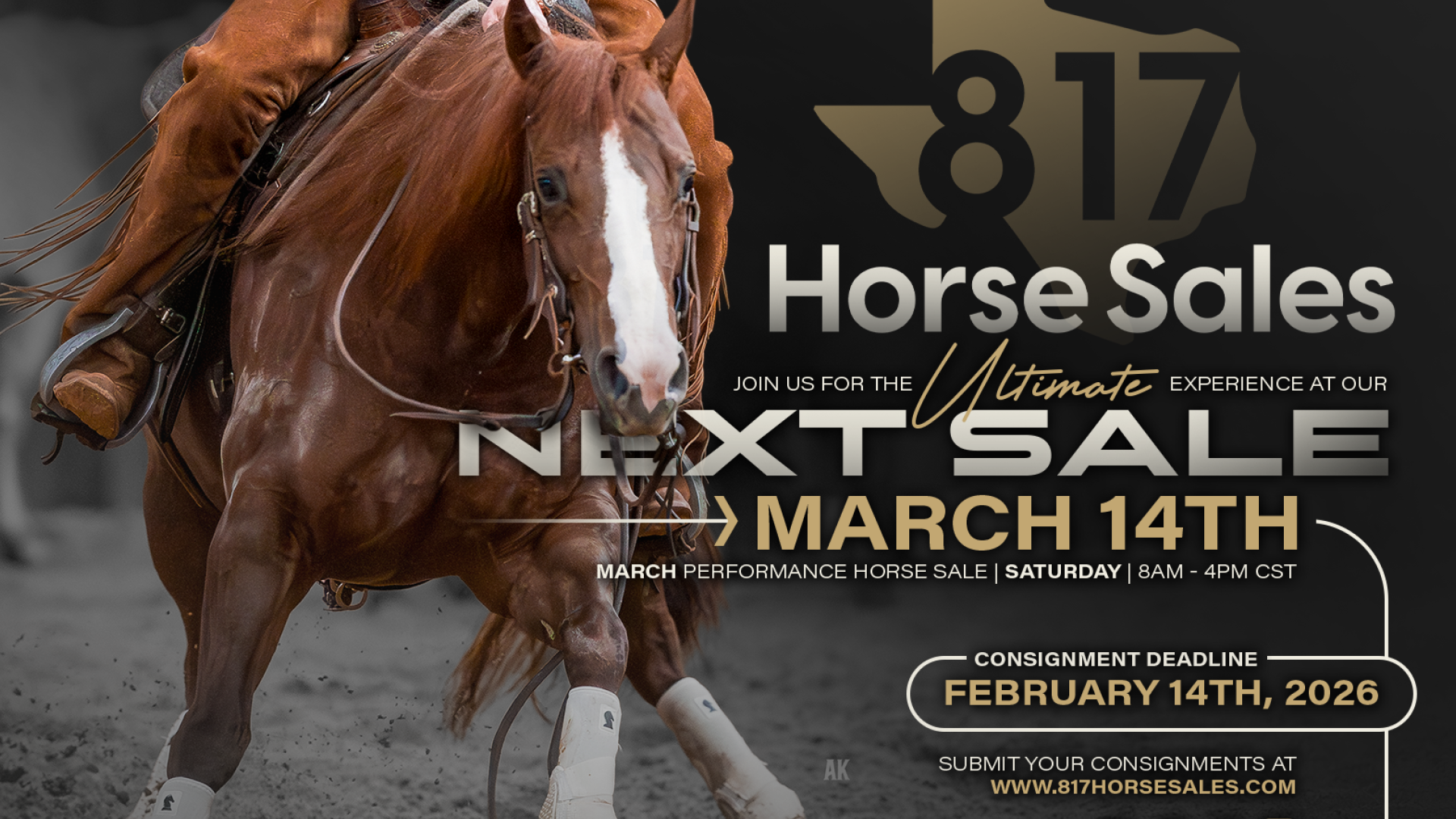 1115 817 smgraphic 3