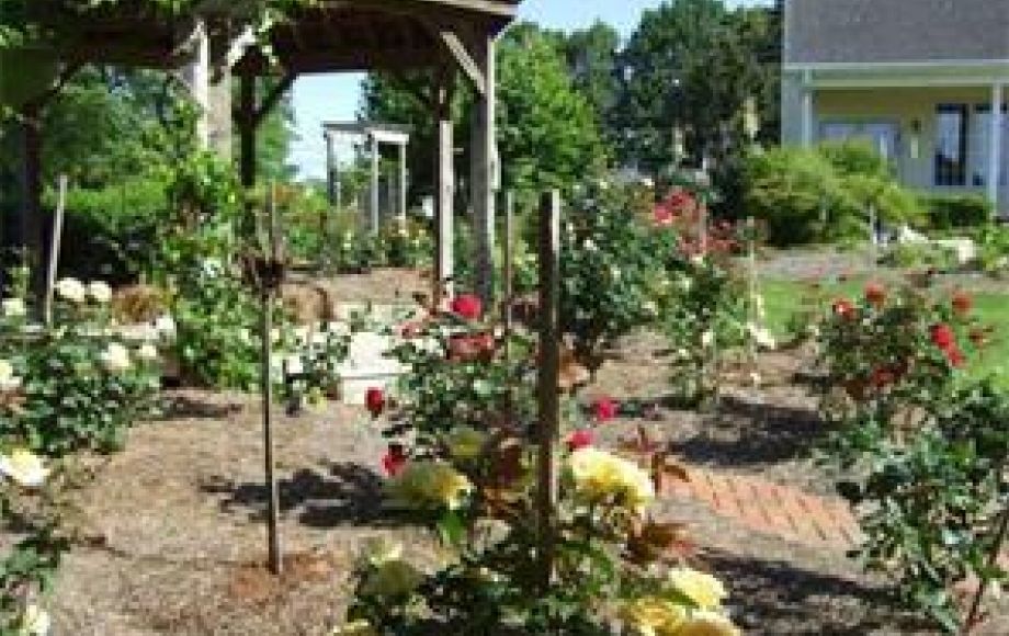 Image for SOLD~629 S. Main St Kernersville, NC 27284