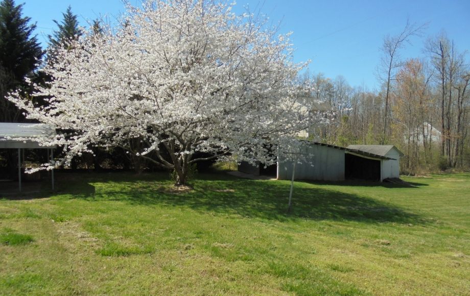 Image for SOLD~1314 Covered Wagon Rd McLeansville, NC 27301