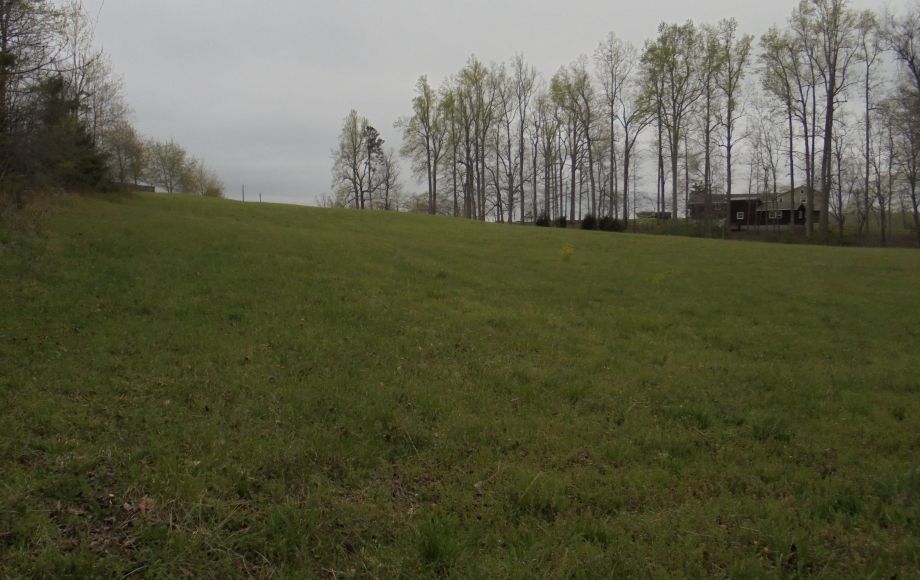 Image for SOLD~Split Level Home on 9.2 AC.