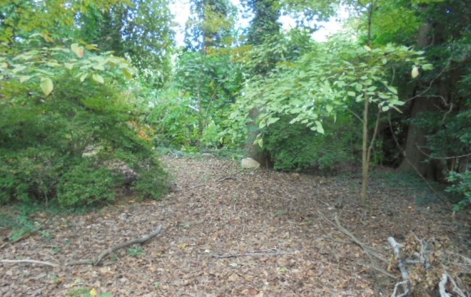 Image for SOLD~REAL ESTATE AUCTION~BRICK RANCH