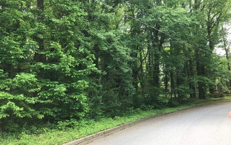 Image for SOLD (For the Second Time)- (0.45AC Corner Tract)-Countryside Dr