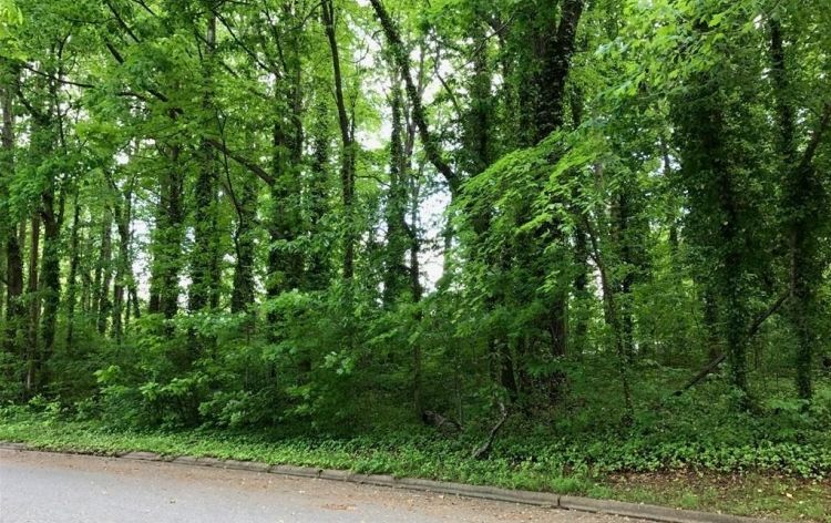 Image for SOLD (For the Second Time)- (0.45AC Corner Tract)-Countryside Dr