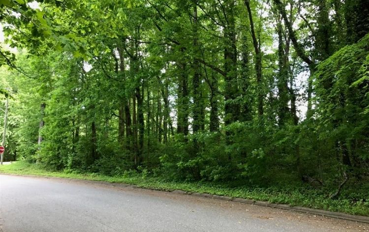 Image for SOLD (For the Second Time)- (0.45AC Corner Tract)-Countryside Dr