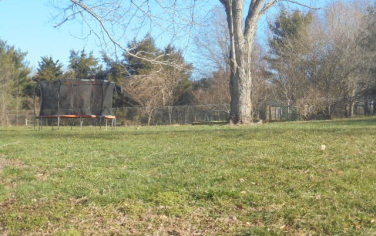 Image for SOLD~BRICK RANCH 3/BR 1/BA 0.96 AC (Julian)