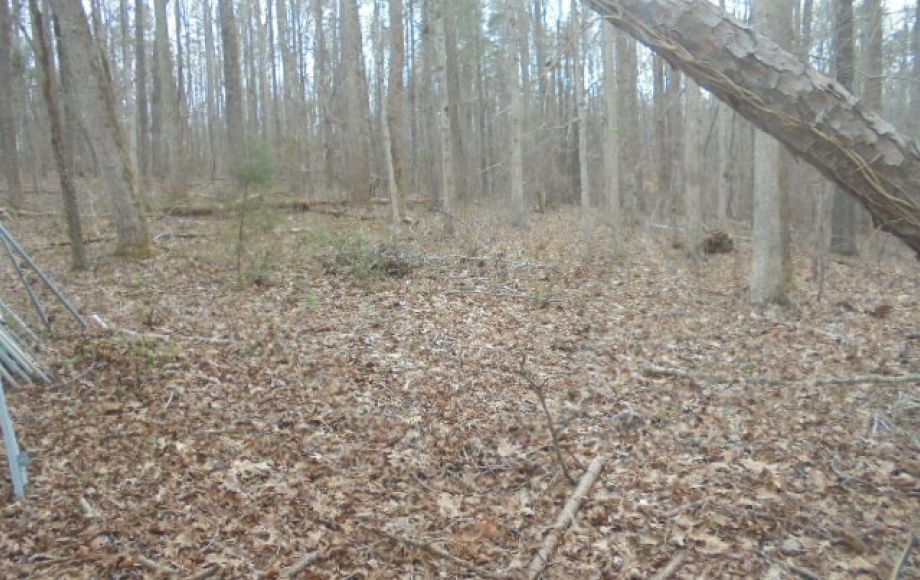 Image for SOLD~BRICK RANCH w/5.16 AC,