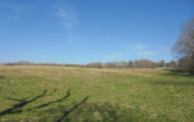 Image for SOLD~ 30+ ACRES~RANDLEMAN LAKE