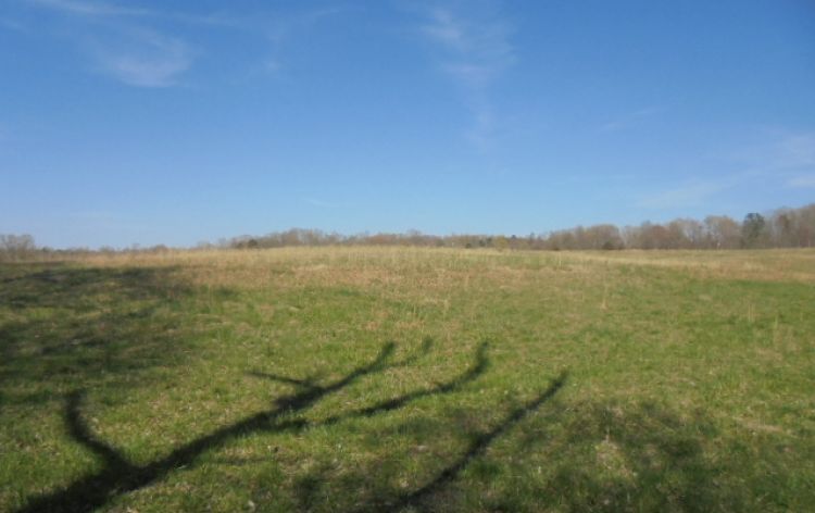 Image for SOLD~ 30+ ACRES~RANDLEMAN LAKE