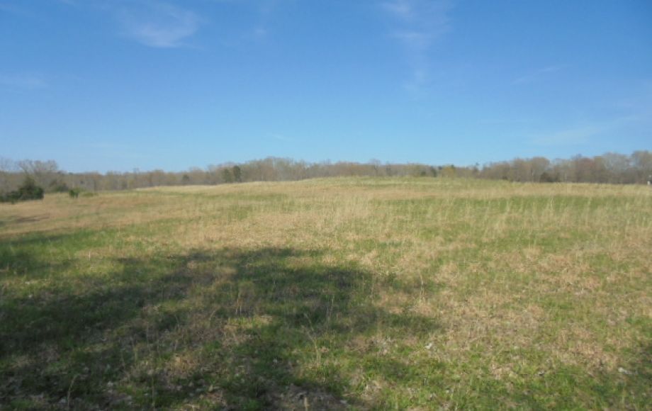 SOLD~ 30+ ACRES~RANDLEMAN LAKE