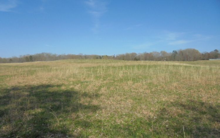 Image for SOLD~ 30+ ACRES~RANDLEMAN LAKE