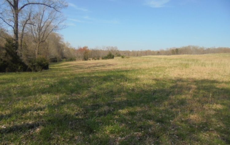 Image for SOLD~ 30+ ACRES~RANDLEMAN LAKE