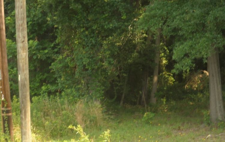 Image for SOLD~3-Adjoining Parcels w/Mobile Home (Current Tenant) 1.38 Acres-Greensboro