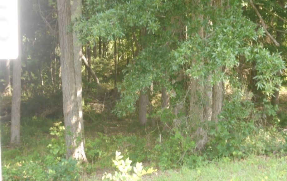 Image for SOLD~3-Adjoining Parcels w/Mobile Home (Current Tenant) 1.38 Acres-Greensboro