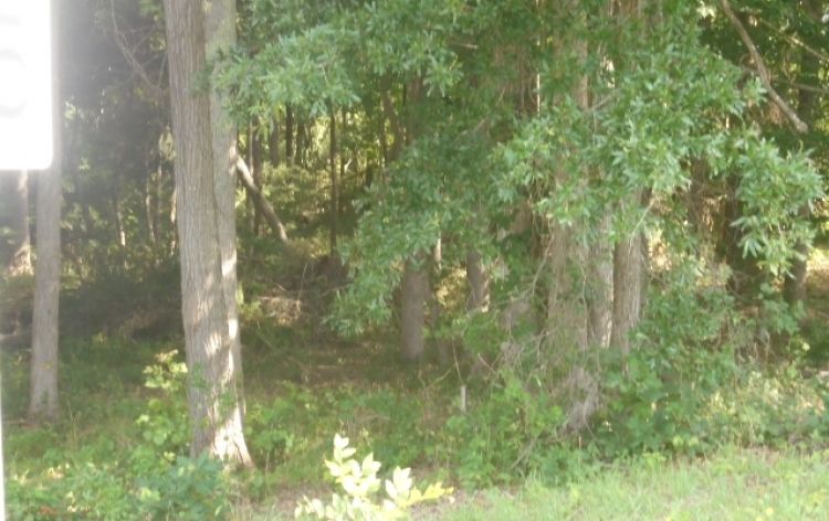 Image for SOLD~3-Adjoining Parcels w/Mobile Home (Current Tenant) 1.38 Acres-Greensboro