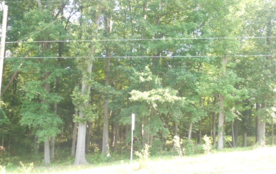 Image for SOLD~3-Adjoining Parcels w/Mobile Home (Current Tenant) 1.38 Acres-Greensboro