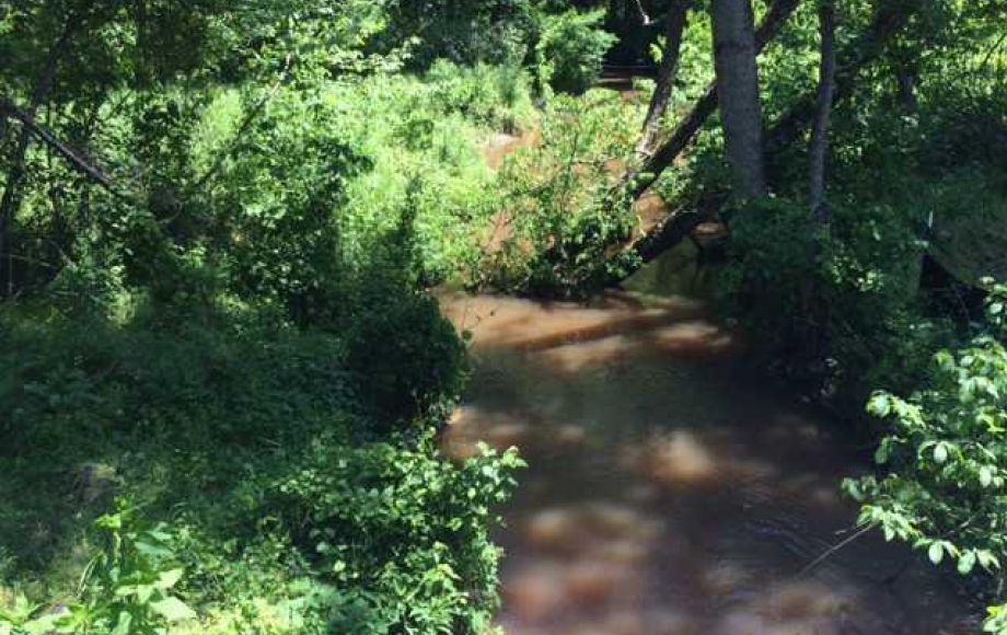 Image for SOLD~16.77 Acres in Rockingham County