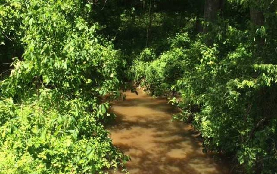 Image for SOLD~16.77 Acres in Rockingham County