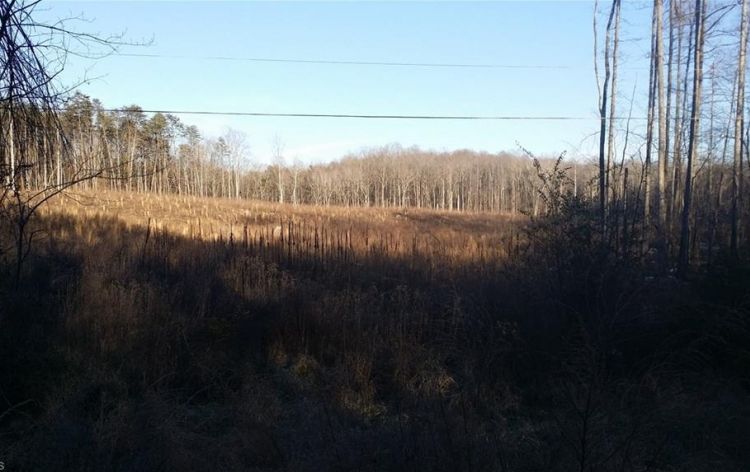 Image for SOLD~16.77 Acres in Rockingham County