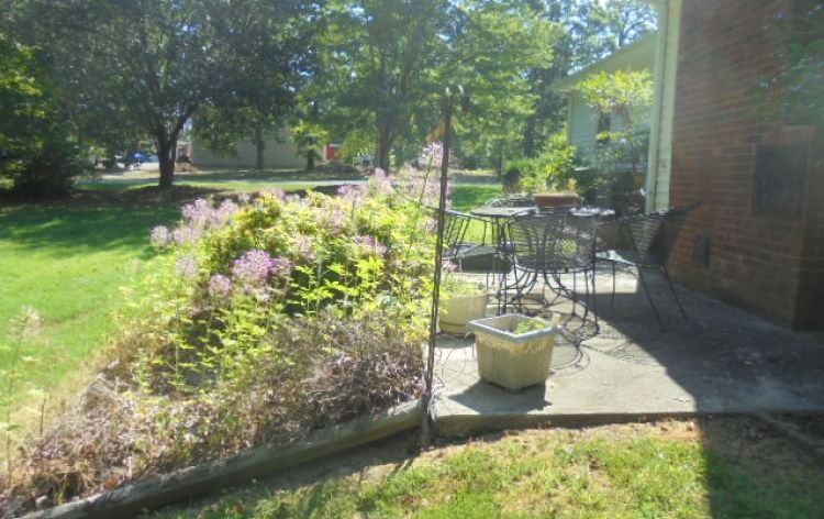 Image for SOLD~Brick Ranch 0.93 AC 3/BR, 2/BA in Forest Oaks Area~AUCTION