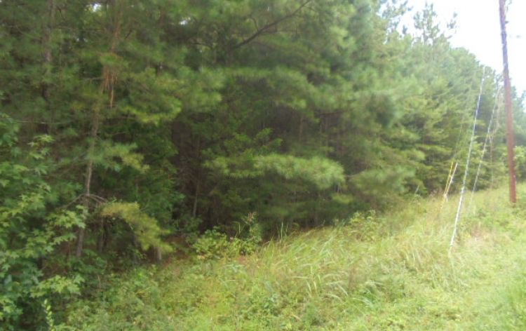 Image for SOLD 7.09 ACRES~GREENSBORO