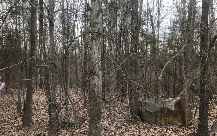 Image for SOLD-10.15 AC Tract on Needham’s Mountain~Seagrove