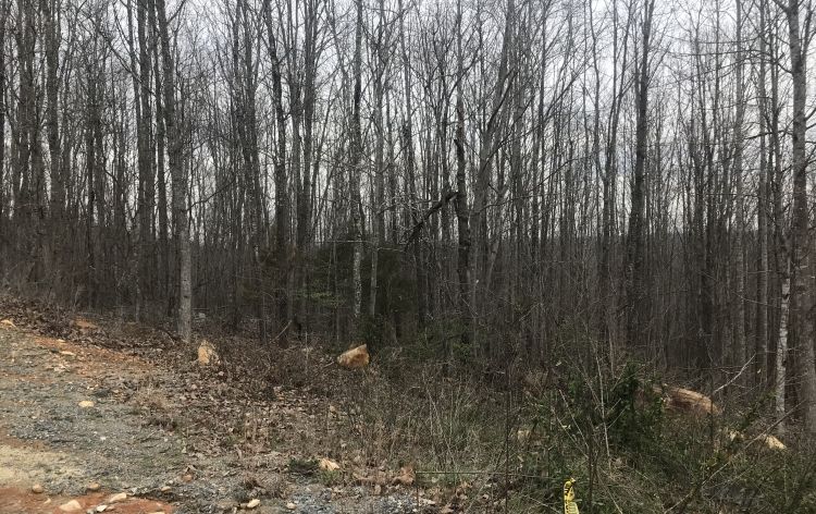 Image for SOLD-10.15 AC Tract on Needham’s Mountain~Seagrove