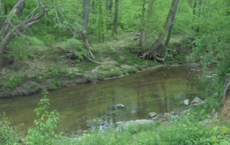 Image for SOLD~AUCTION HOUSE/STORAGE/WAREHOUSE w/8.7 ACRES (NEW SURVEY) -LEXINGTON