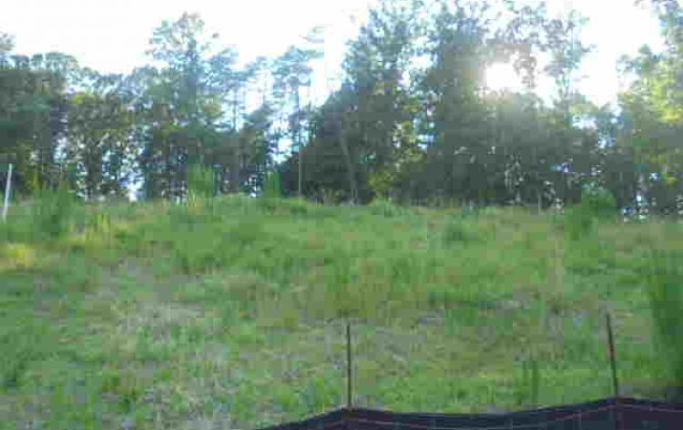 Image for SOLD-0.69 AC Lot in Jessup Ridge Subdivision (Lot #86)