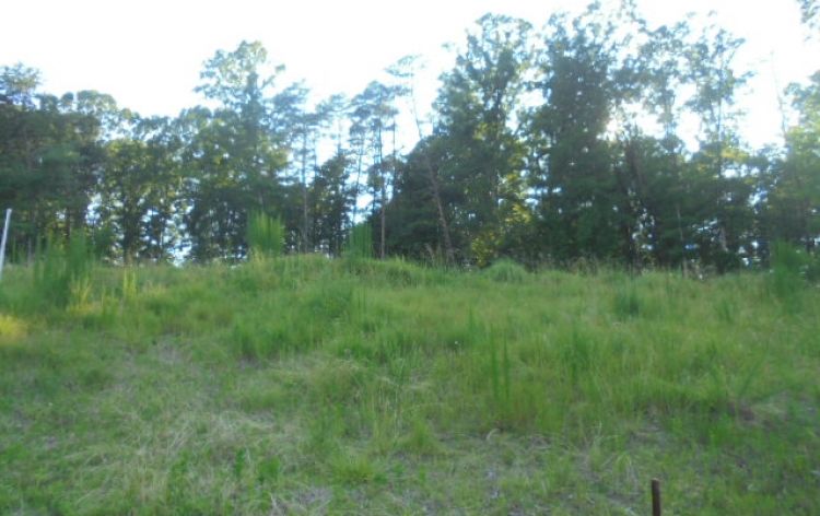 Image for SOLD-0.69 AC Lot in Jessup Ridge Subdivision (Lot #86)