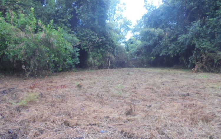 Image for SOLD~VACANT LOT 0.19 AC (HIGH POINT)