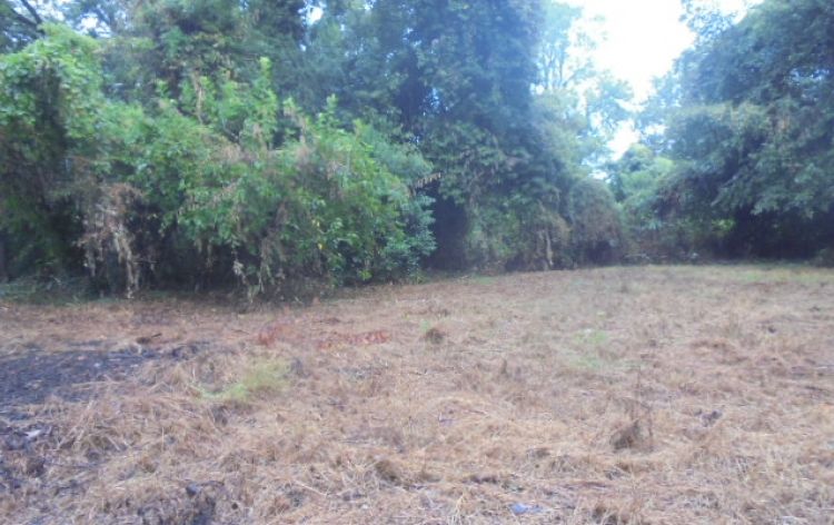 Image for SOLD~VACANT LOT 0.19 AC (HIGH POINT)