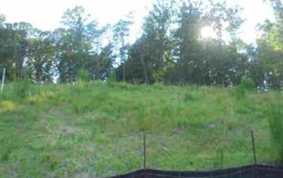 Image for SOLD~0.69 AC LOT (JESSUP RIDGE SUBDIVISION)