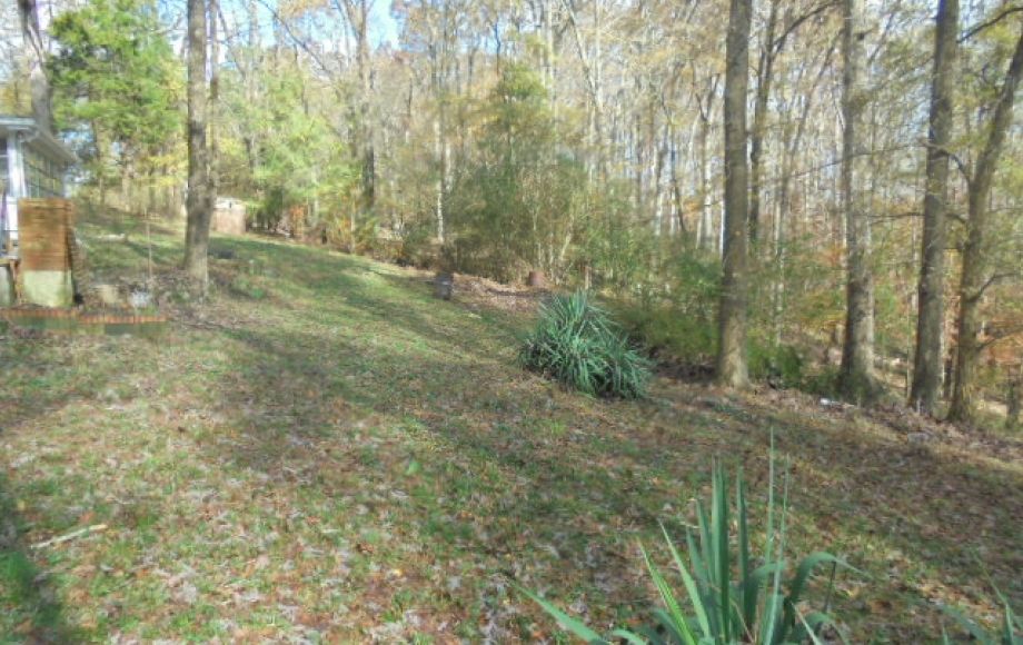 Image for SOLD~LOG CABIN on 1.53 ACRES