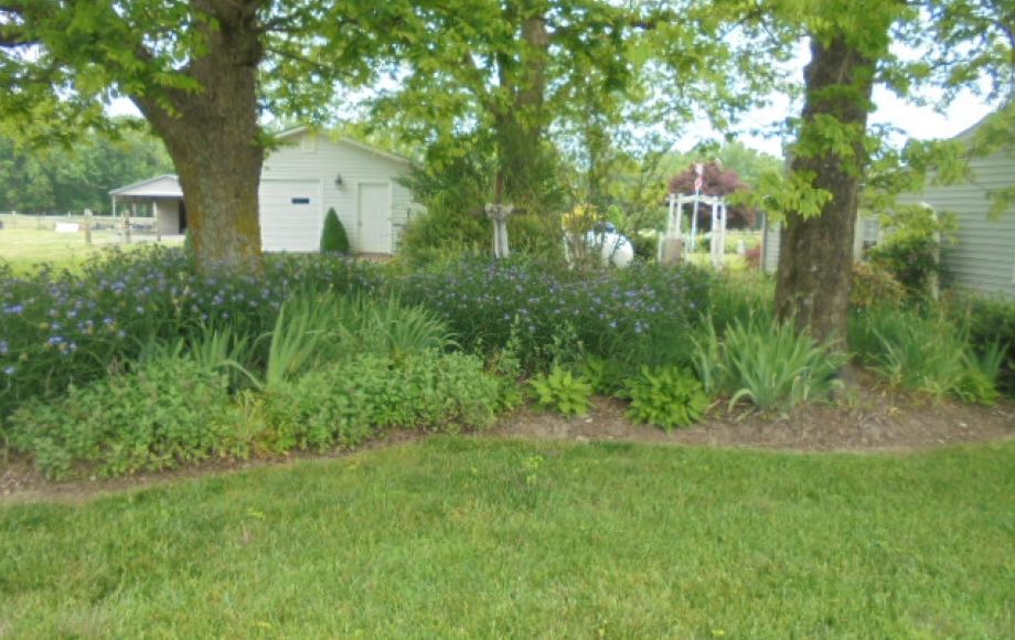 Image for SOLD~BEAUTIFUL 1.5 STORY FARM HOUSE ON 5.7 ACRES~CLIMAX