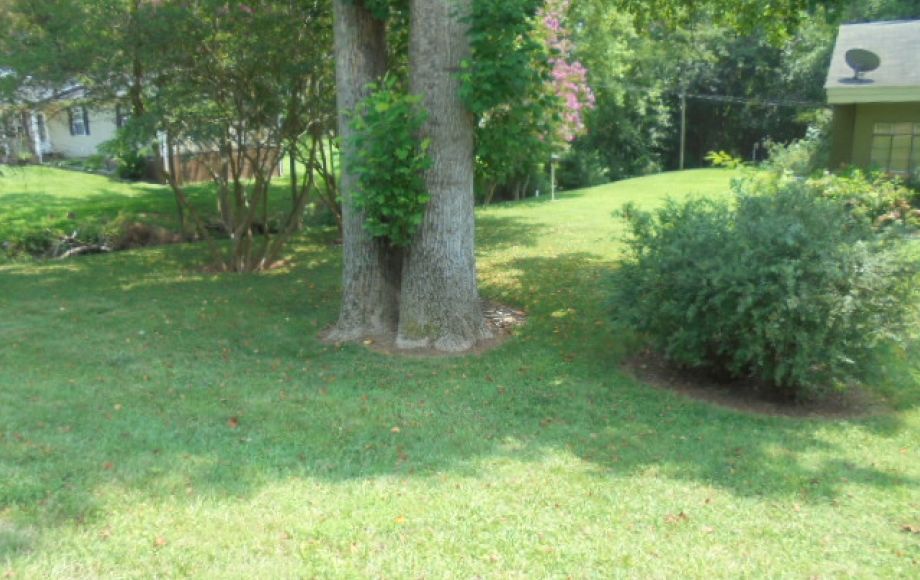Image for SOLD~REAL ESTATE AUCTION~2/Bedrooms, 1/Bath on 1-Acre (Greensboro)