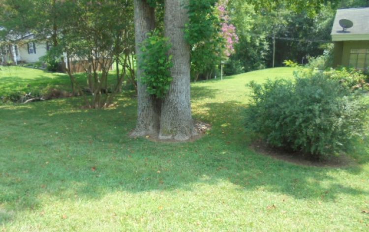 Image for SOLD~REAL ESTATE AUCTION~2/Bedrooms, 1/Bath on 1-Acre (Greensboro)