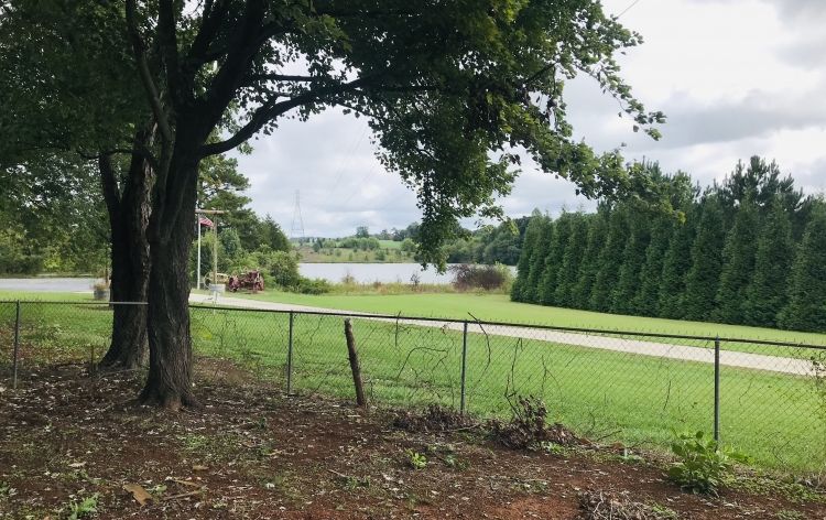 Image for SOLD~BRICK RANCH 3/BR, 2/BA w/ADDITIONAL LOT & WATER VIEW~RANDLEMAN