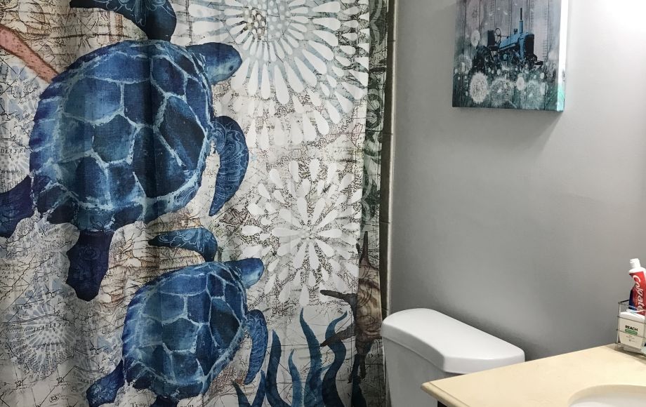 Image for SOLD~RANCH HOME COMPLETELY RENOVATED 3/2 on 3 ACRES w/30 x 40 GARAGE/WORKSHOP