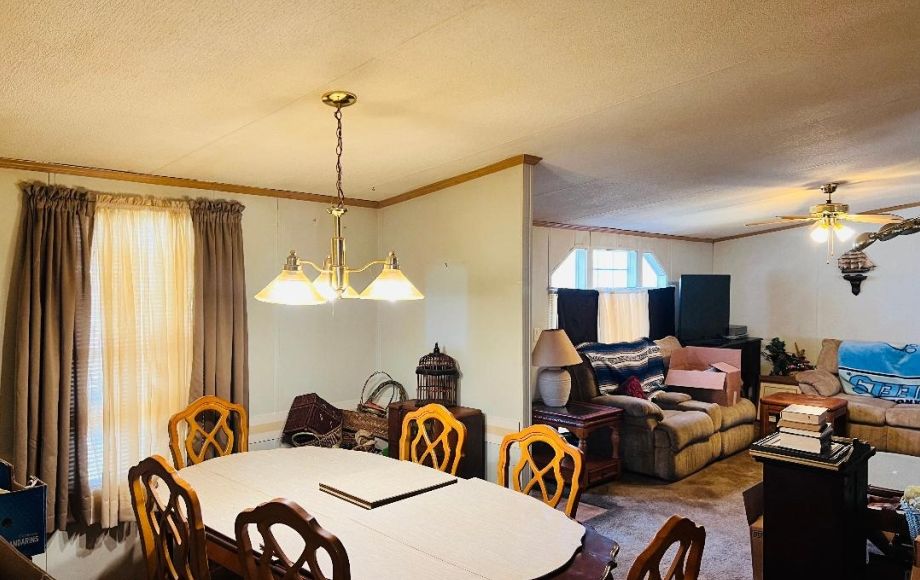 Image for SOLD~DBL.WIDE w/GARAGE/MECHANIC SHOP on 0.96AC in CLIMAX