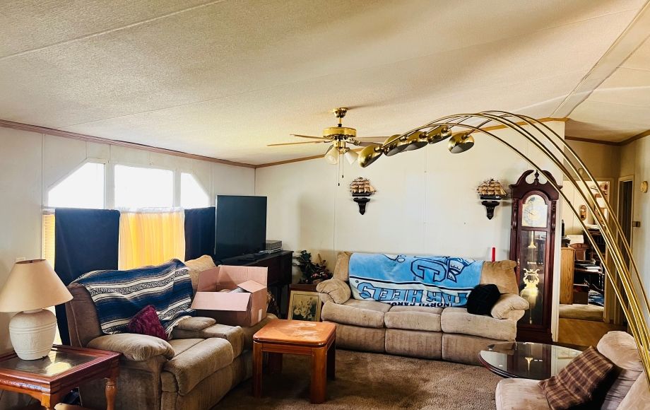 Image for SOLD~DBL.WIDE w/GARAGE/MECHANIC SHOP on 0.96AC in CLIMAX