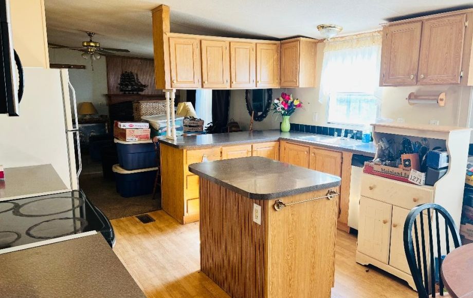 Image for SOLD~DBL.WIDE w/GARAGE/MECHANIC SHOP on 0.96AC in CLIMAX