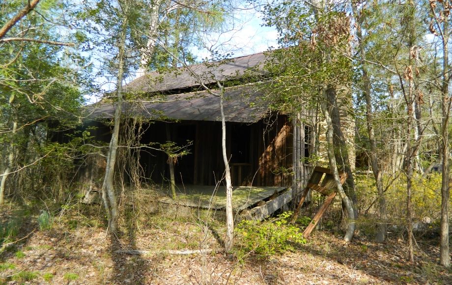 Image for SOLD~43 +/- ACRES OF LAND IN EAGLE SPRINGS