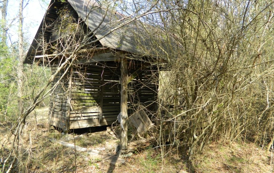 Image for SOLD~43 +/- ACRES OF LAND IN EAGLE SPRINGS