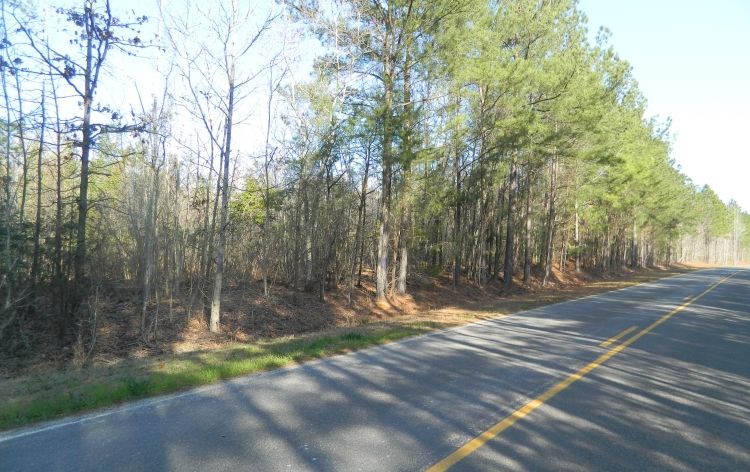 Image for SOLD~43 +/-  ACRES OF LAND IN EAGLE SPRINGS