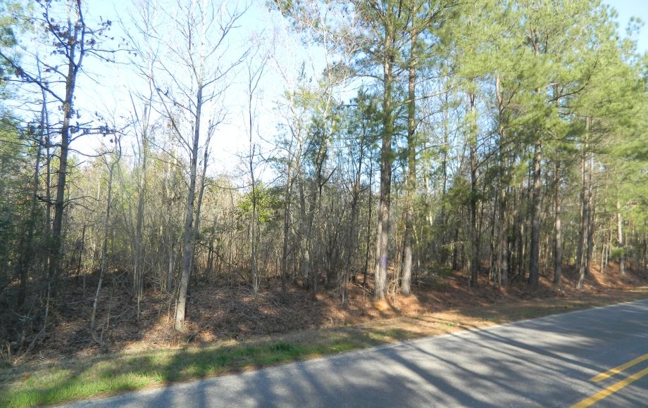 Image for SOLD~43 +/- ACRES OF LAND IN EAGLE SPRINGS