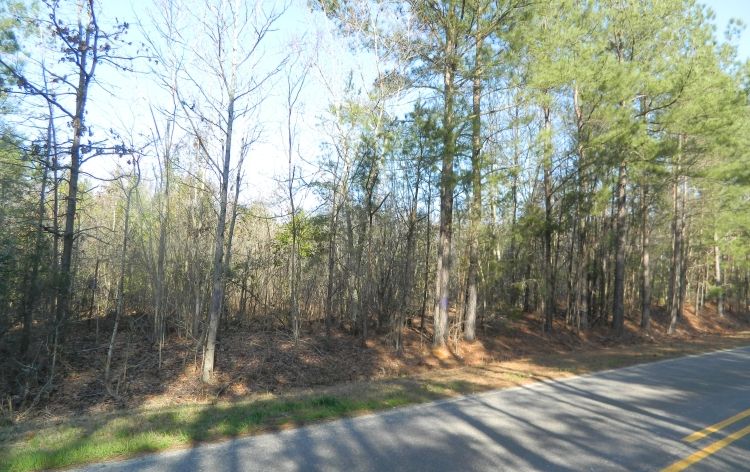 Image for SOLD~43 +/-  ACRES OF LAND IN EAGLE SPRINGS